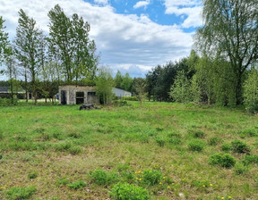 Działka na sprzedaż, Złotowski Zakrzewo Stara Wiśniewka, 790 000 zł, 10 053 m2, 117