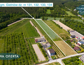 Rolny na sprzedaż, Przysuski Gielniów Zielonka, 300 360 zł, 8100 m2, 842010