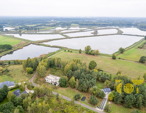 Dom na sprzedaż, Grodziski Żabia Wola Grzegorzewice, 1 300 000 zł, 347,33 m2, JOY533544