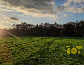 Działka na sprzedaż, Płoński Nowe Miasto Przepitki, 100 000 zł, 3000 m2, JOY600511183