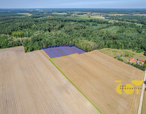 Działka na sprzedaż, Płoński Nowe Miasto Przepitki, 100 000 zł, 3000 m2, JOY600511183