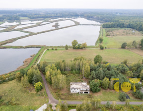 Dom na sprzedaż, Grodziski Żabia Wola Grzegorzewice, 1 200 000 zł, 347,33 m2, JOY533544831