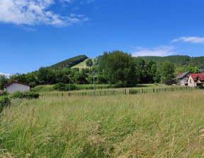 Działka na sprzedaż, Żywiecki Żywiec, 2 850 000 zł, 6178 m2, DEN-GS-167