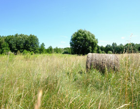 Działka na sprzedaż, Warszawski Zachodni Kampinos, 1 790 000 zł, 11 751 m2, DBI972664931