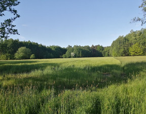 Działka na sprzedaż, Myszkowski Koziegłowy Siedlec Mały, 75 000 zł, 4300 m2, 137/12083/OGS