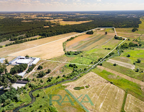 Działka na sprzedaż, Wołomiński Klembów Rasztów, 78 300 000 zł, 290 000 m2, 10/15145/OGS