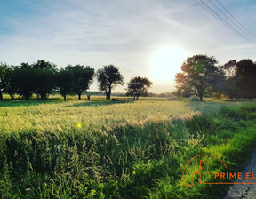 Działka na sprzedaż, Białobrzeski Białobrzegi Wczasowa, 10 000 000 zł, 55 336 m2, PE365947723