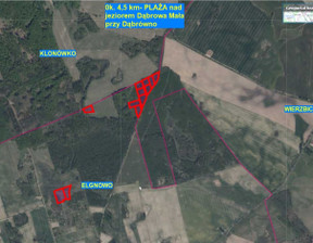 Rolny na sprzedaż, Ostródzki Dąbrówno Elgnowo, 28 535 zł, 3004 m2, SCT-GS-124