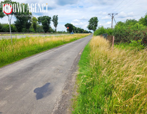 Handlowo-usługowy na sprzedaż, Nowodworski Czosnów Palmiry Firmowa, 899 000 zł, 4050 m2, TOP916444