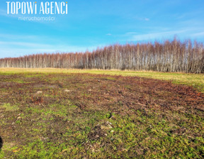 Działka na sprzedaż, Grodziski Grodzisk Mazowiecki Książenice Mazowiecka, 3 000 000 zł, 21 623 m2, TOP280843