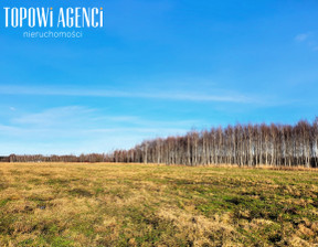 Działka na sprzedaż, Grodziski (pow.) Grodzisk Mazowiecki (gm.) Książenice Mazowiecka, 3 000 000 zł, 21 623 m2, TOP280843