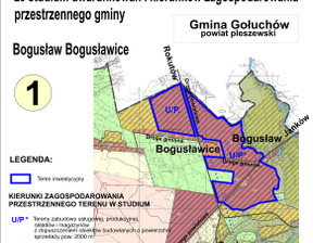 Działka na sprzedaż, Pleszewski (pow.) Pleszew (gm.) Pleszew, 300 000 zł, 11 000 m2, 167