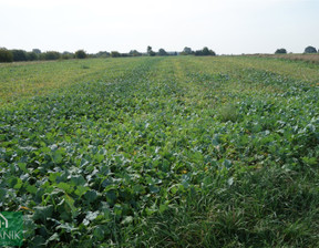 Działka na sprzedaż, Lubelski Jastków Natalin, 384 000 zł, 5900 m2, CTF-GS-2185-14