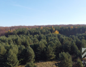 Leśne na sprzedaż, Dąbrowa Górnicza Ujejsce, 63 369 zł, 9184 m2, 987758