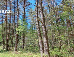 Działka na sprzedaż, Myszkowski Poraj Żarki-Letnisko Wiejska, 380 000 zł, 3888 m2, DOM573343