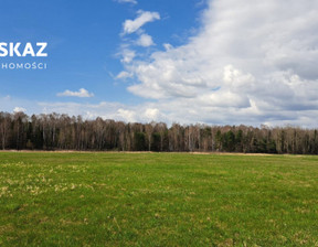 Rolny na sprzedaż, Będziński Siewierz Brudzowice, 590 000 zł, 12 228 m2, DOM818407