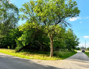 Działka na sprzedaż, Bełchatowski (Pow.) Zelów (Gm.) Wypychów Stara Poczta, 89 000 zł, 2000 m2, 34