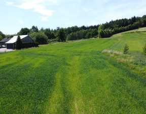 Działka na sprzedaż, Tarnowski Gromnik Siemiechów, 94 000 zł, 1500 m2, DUD-GS-106