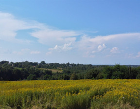 Działka na sprzedaż, Brzeski Dębno Sufczyn, 86 000 zł, 2999 m2, DUD-GS-61