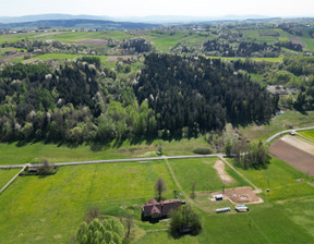 Dom na sprzedaż, Tarnowski Rzepiennik Strzyżewski Turza Turza, 465 000 zł, 299,99 m2, DUD-DS-102