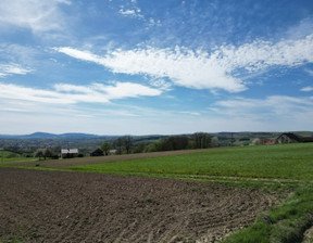 Działka na sprzedaż, Gorlicki Bobowa Siedliska Siedliska, 81 500 zł, 1300 m2, DUD-GS-101