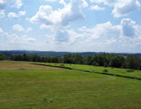 Działka na sprzedaż, Tarnowski Gromnik Rzepiennik Marciszewski, 99 000 zł, 3675 m2, DUD-GS-121