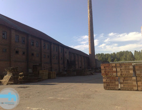 Fabryka, zakład na sprzedaż, Kazimierski (Pow.) Czarnocin (Gm.) Czarnocin, 5 000 000 zł, 7500 m2, 35