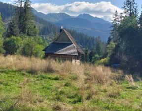 Rolny na sprzedaż, Tatrzański Zakopane Cyrhla, 550 000 zł, 2475 m2, 46