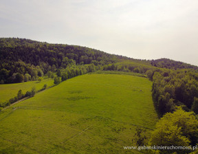 Działka na sprzedaż, Tarnowski Zakliczyn Słona, 79 000 zł, 1955 m2, 20/GBN/DZS-89