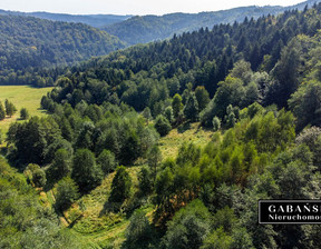 Działka na sprzedaż, Tarnowski Zakliczyn Słona, 79 000 zł, 2200 m2, 23/GBN/DZS-102