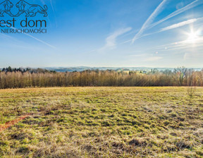 Budowlany na sprzedaż, Jasielski Skołyszyn Lisów, 87 000 zł, 2176 m2, 1431