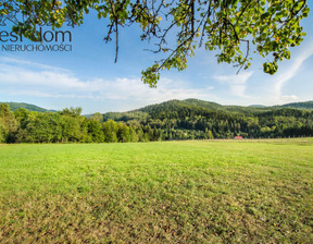 Budowlany na sprzedaż, Nowosądecki Grybów Florynka, 105 000 zł, 1244 m2, 1479