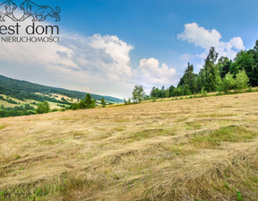 Działka na sprzedaż, Gorlicki Sękowa Małastów, 590 000 zł, 24 800 m2, 1473