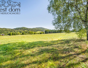 Budowlany na sprzedaż, Gorlicki Uście Gorlickie Hańczowa, 220 000 zł, 3893 m2, 1391