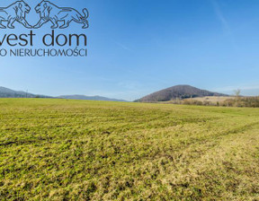 Działka na sprzedaż, Gorlicki Uście Gorlickie Hańczowa, 250 000 zł, 7100 m2, 1424