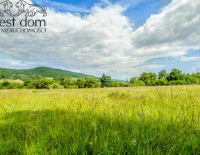 Działka na sprzedaż, Gorlicki Uście Gorlickie Wysowa-Zdrój, 115 000 zł, 1047 m2, 1338