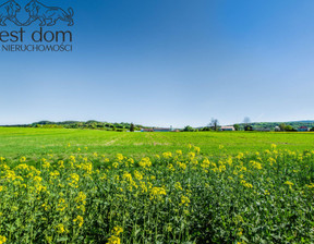 Działka na sprzedaż, Gorlicki Łużna Mszanka, 55 000 zł, 1507 m2, 1247