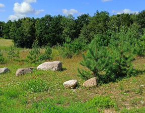 Działka na sprzedaż, Kartuski Żukowo Łapino Kartuskie Narcyzowa, 275 000 zł, 1050 m2, NL6/82024