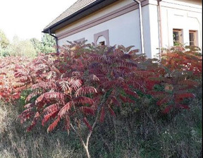 Dom na sprzedaż, Grodziski Żabia Wola, 1 899 000 zł, 145 m2, 30293