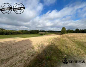 Działka na sprzedaż, Kościerski Nowa Karczma Liniewko Kościerskie, 169 000 zł, 3500 m2, GOF784706