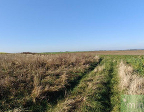 Budowlany na sprzedaż, Goleniowski Nowogard Krasnołęka, 87 670 zł, 3985 m2, MNI21994