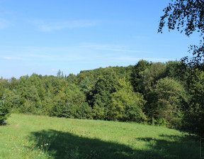 Działka na sprzedaż, Wielicki (Pow.) Gdów (Gm.) Jaroszówka, 239 000 zł, 5300 m2, 231