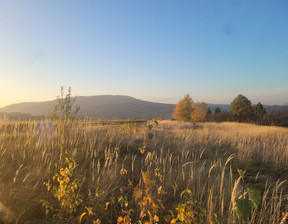 Działka na sprzedaż, Gorlicki (pow.) Gorlice (gm.) Szymbark, 99 000 zł, 3000 m2, 182