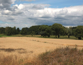 Działka na sprzedaż, Chodzieski Chodzież Milcz Holna / Zajęcza, 321 100 zł, 6175 m2, 1166710880