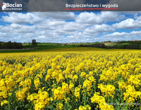 Działka na sprzedaż, Kartuski Przodkowo Młynek, 200 000 zł, 1000 m2, BU155526