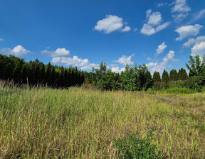 Działka na sprzedaż, Grudziądzki Grudziądz Pieńki Królewskie, 119 000 zł, 1206 m2, BAJ-GS-5916