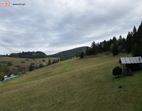 Działka na sprzedaż, Nowotarski Szczawnica Jaworki, 350 000 zł, 5015 m2, 49040