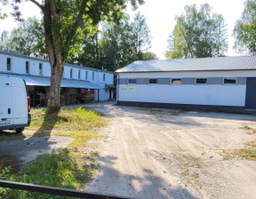 Hala do wynajęcia, Kościerski Dziemiany Kalisz Wrzosowa , 12 000 zł, 420 m2, 830389