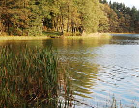 Działka na sprzedaż, Ełcki Stare Juchy, 180 000 zł, 3000 m2, 828719