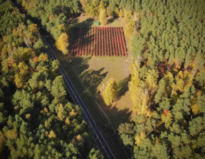 Działka na sprzedaż, Pruszkowski Nadarzyn ul. Błońska, 4 200 000 zł, 18 159 m2, 5271